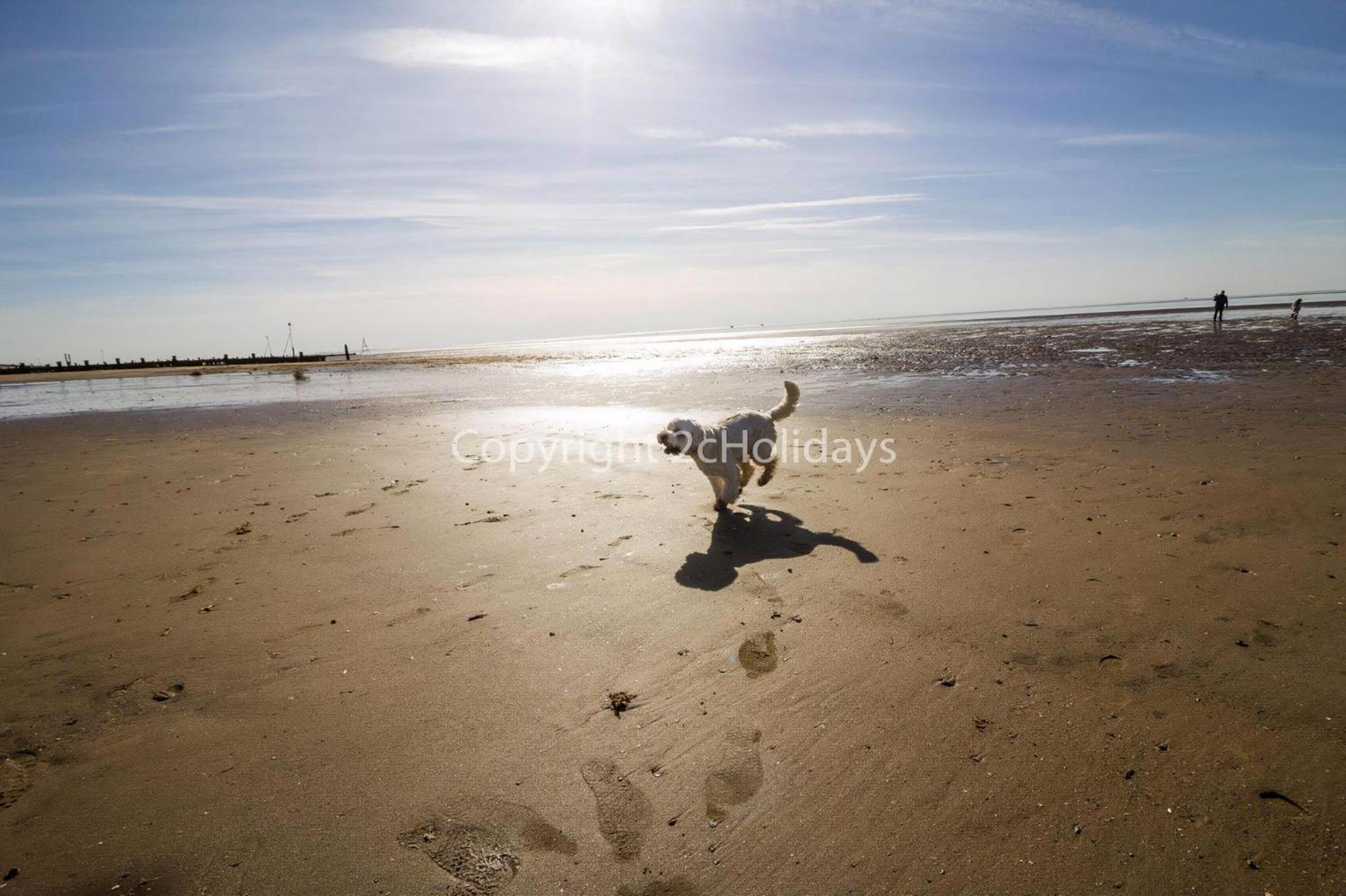 5 Berth Dog Friendly Lodge In Hunstanton By The Beach Ref 13015Rn Dış mekan fotoğraf